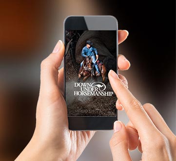 Horse Trainer App Ethervision