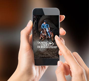 work-img2 Horse Trainer App Ethervision